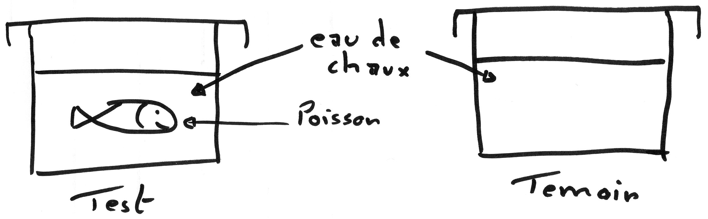 expérience pour voir si le poisson rejette du dioxyde de carbone
