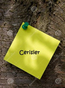 ?????????????????????????????????????????????????????????????????????????????????