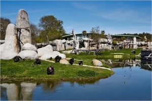 zoopalmyre