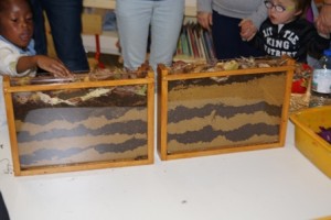 DSC09982