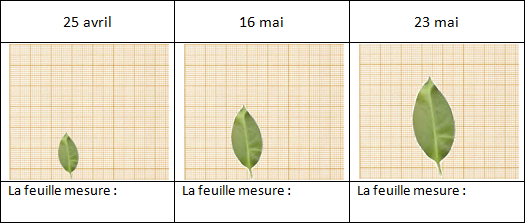 mesure