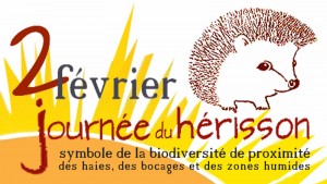 journée du hérisson